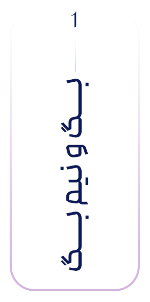 بگ-و-نیم-بگ بگ-و-نیم-بگ